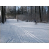 WSV Schotten LL 02 2012 08.JPG